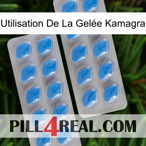 Utilisation De La Gelée Kamagra 23